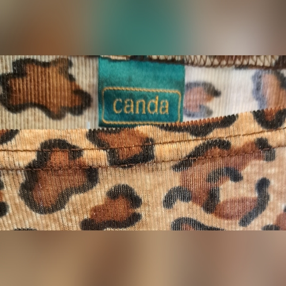 Rayon Plus Size Long Sleeve Canda Blouse - Picture 3 of 3